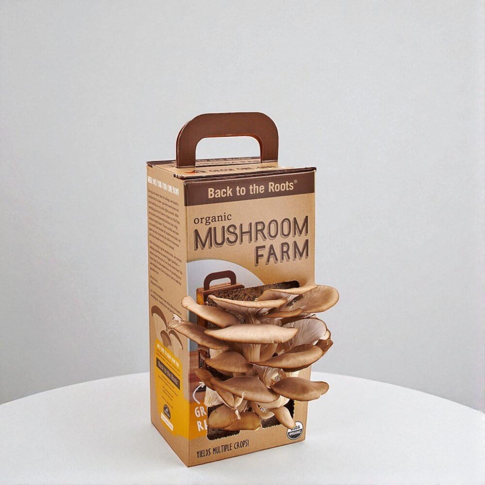 Custom Mushroom Boxes