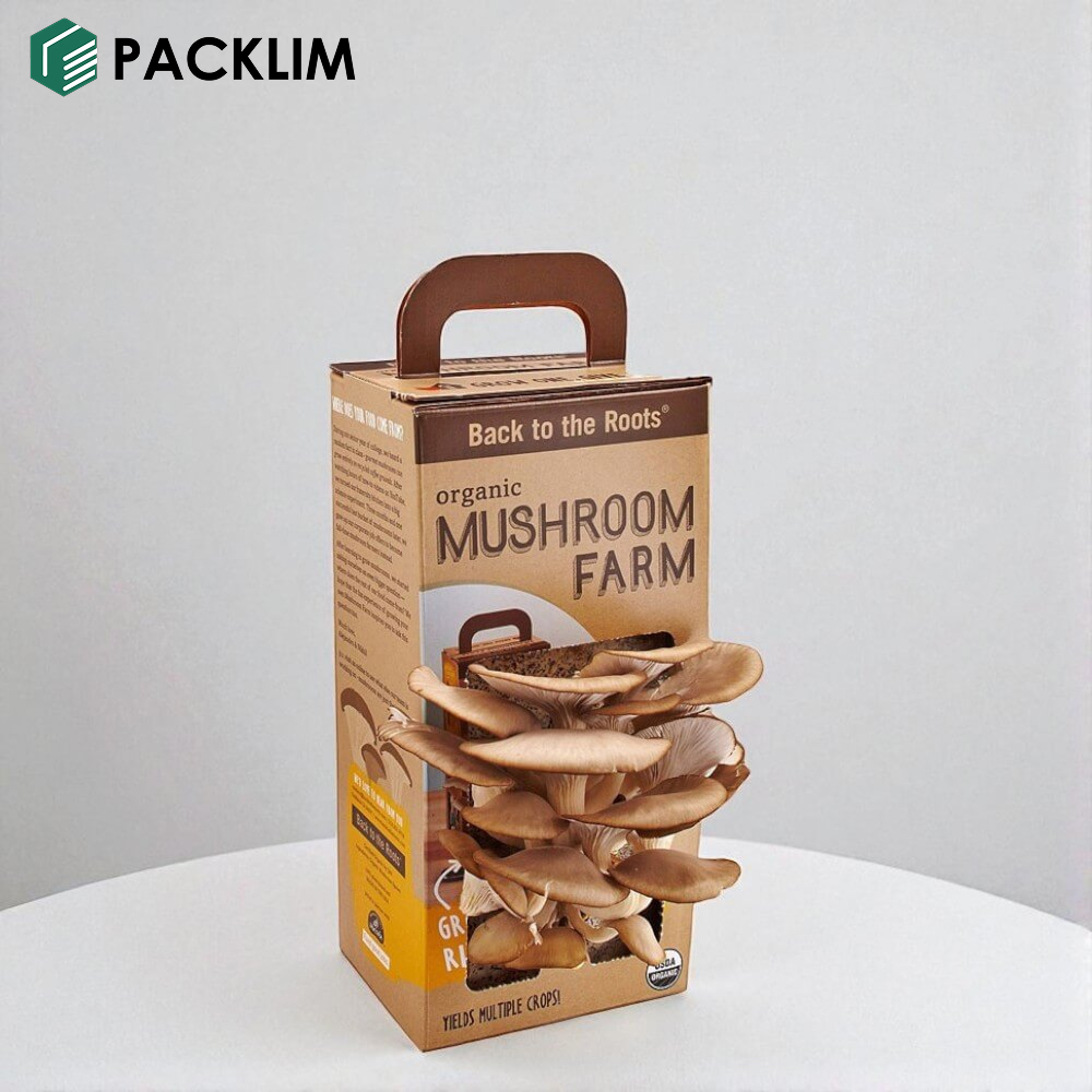 Custom Mushroom Boxes