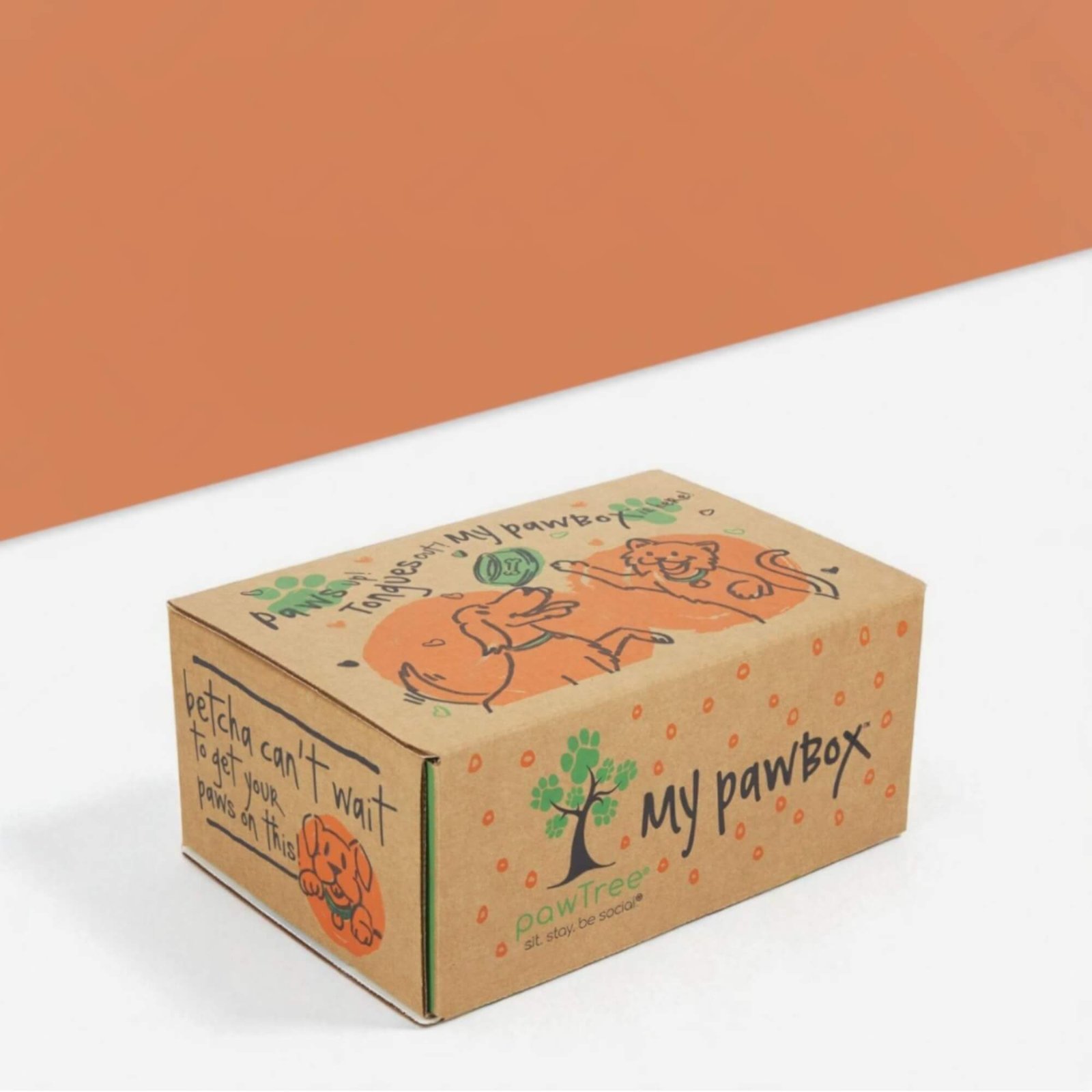 Product Gallery Image