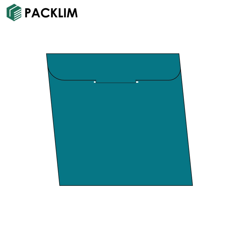 Two Panel CD Jacket