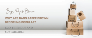Why Are Bags Paper Brown Becoming Popular?