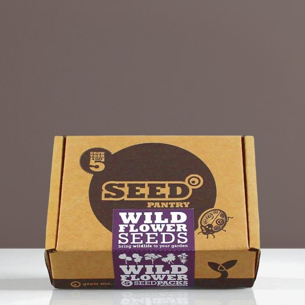 Custom Seed Boxes